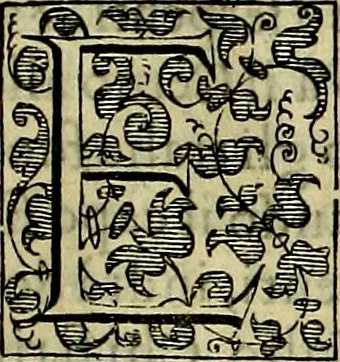 An illustration from Teatro d'imprese, 1623, leaf 714