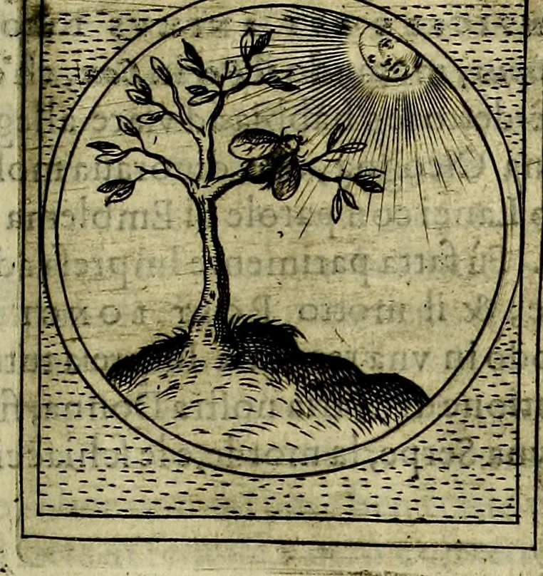 An illustration from Teatro d'imprese, 1623, leaf 726