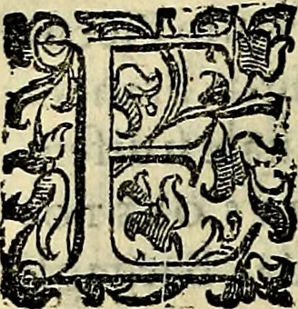 An illustration from Teatro d'imprese, 1623, leaf 729