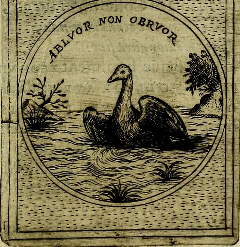 An illustration from Teatro d'imprese, 1623, leaf 732