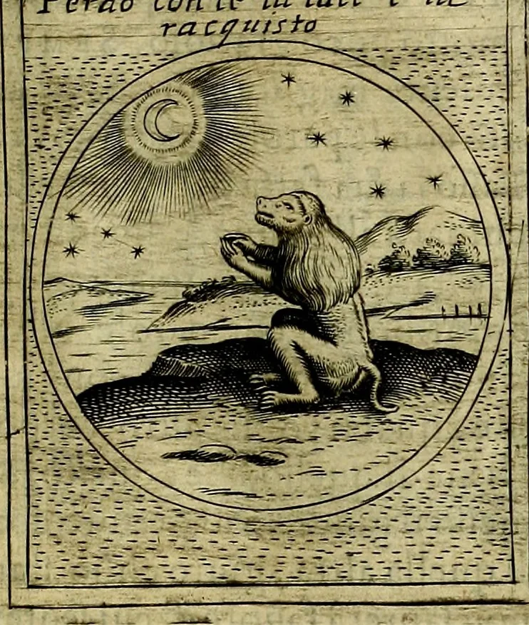 An illustration from Teatro d'imprese, 1623, leaf 734