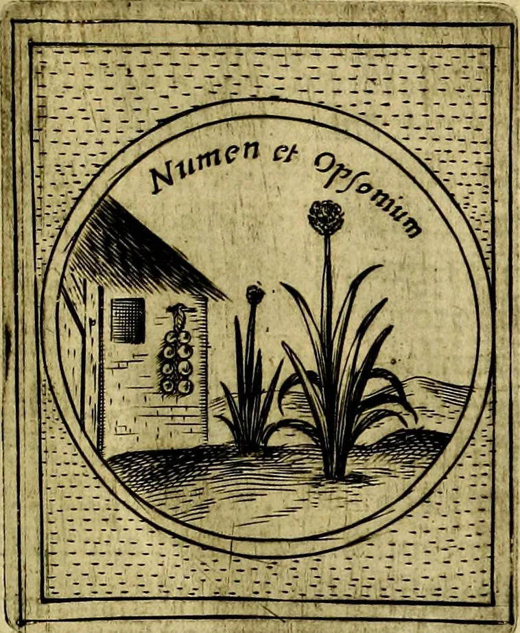An illustration from Teatro d'imprese, 1623, leaf 736