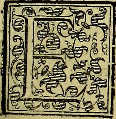 An illustration from Teatro d'imprese, 1623, leaf 736