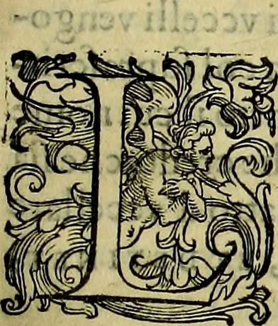 An illustration from Teatro d'imprese, 1623, leaf 738