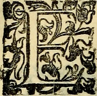 An illustration from Teatro d'imprese, 1623, leaf 739