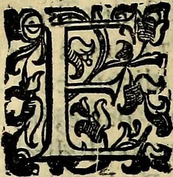 An illustration from Teatro d'imprese, 1623, leaf 749
