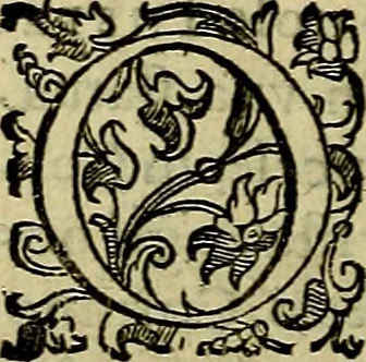 An illustration from Teatro d'imprese, 1623, leaf 767