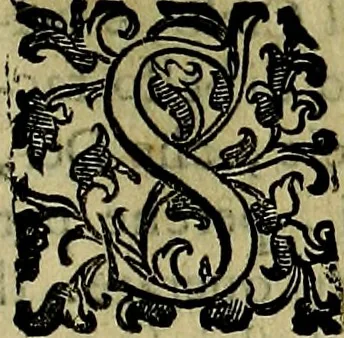 An illustration from Teatro d'imprese, 1623, leaf 768
