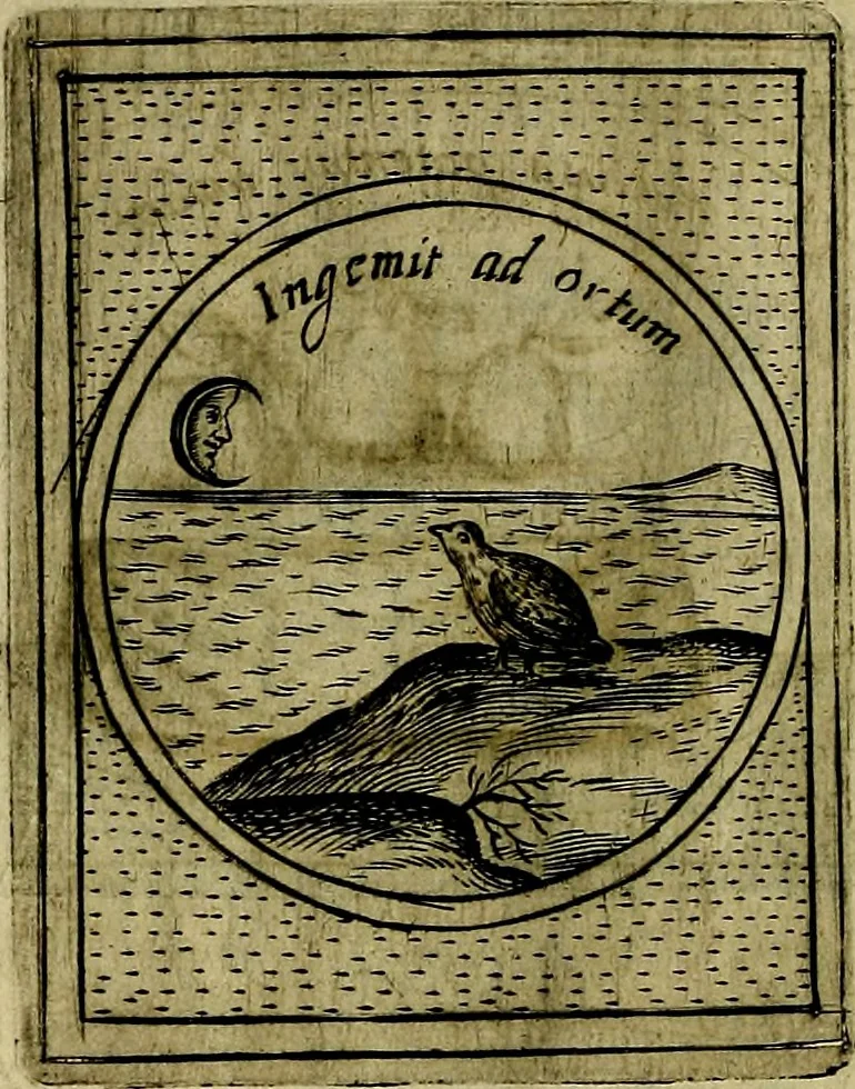 An illustration from Teatro d'imprese, 1623, leaf 769