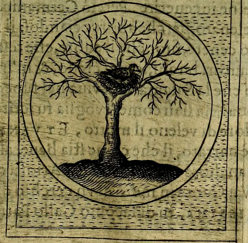 An illustration from Teatro d'imprese, 1623, leaf 776