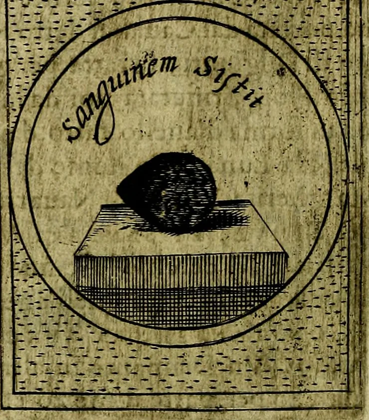 An illustration from Teatro d'imprese, 1623, leaf 789