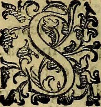 An illustration from Teatro d'imprese, 1623, leaf 789