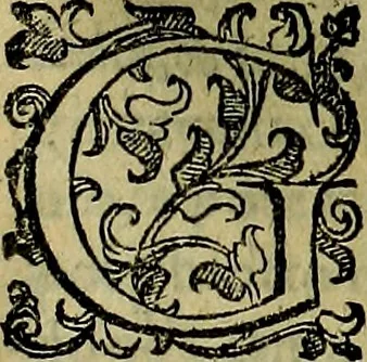 An illustration from Teatro d'imprese, 1623, leaf 800