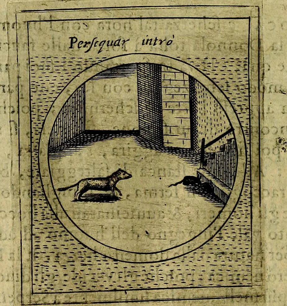 An illustration from Teatro d'imprese, 1623, leaf 801