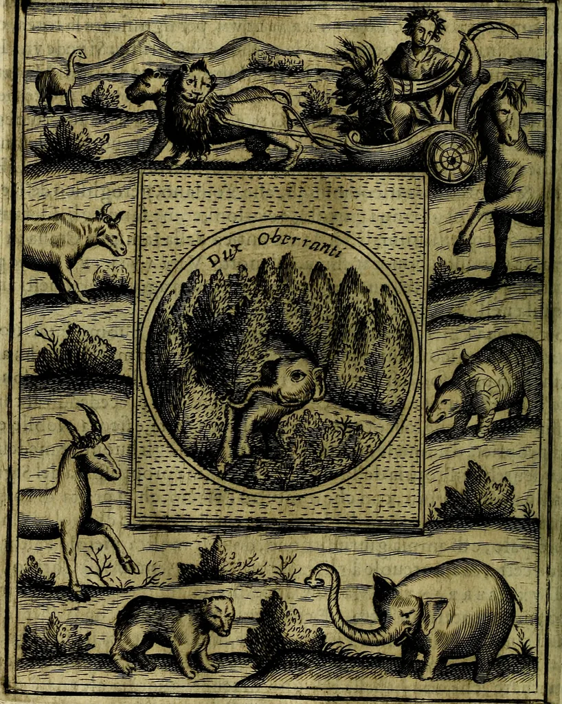 An illustration from Teatro d'imprese, 1623, leaf 811