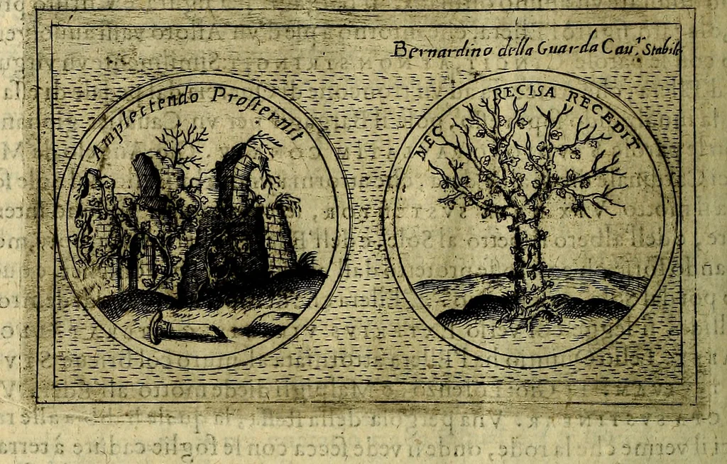An illustration from Teatro d'imprese, 1623, leaf 815