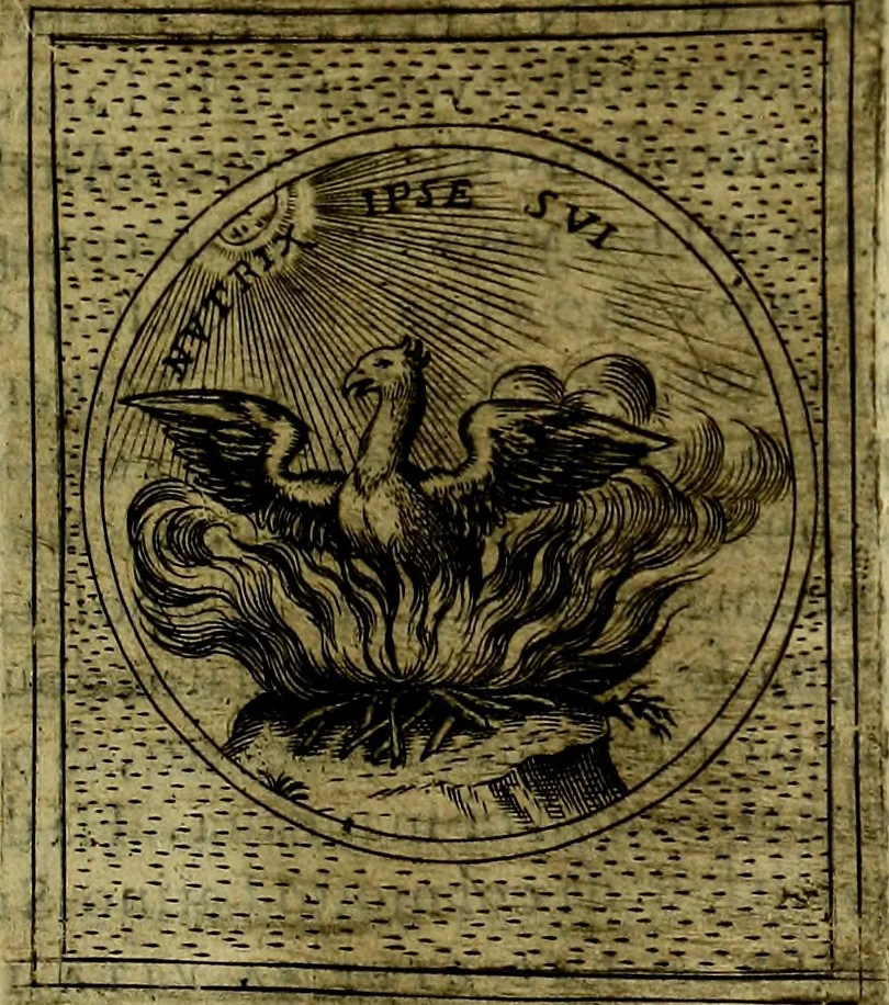 An illustration from Teatro d'imprese, 1623, leaf 822