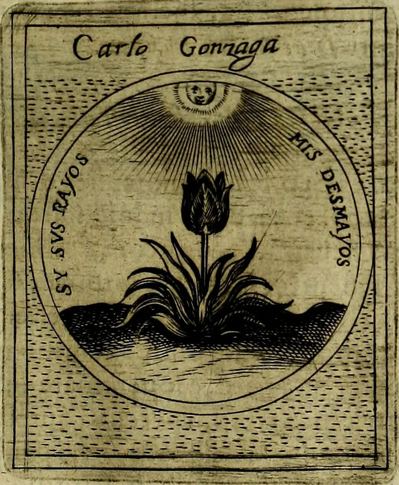 An illustration from Teatro d'imprese, 1623, leaf 834