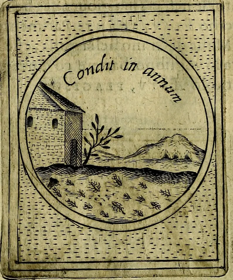 An illustration from Teatro d'imprese, 1623, leaf 845
