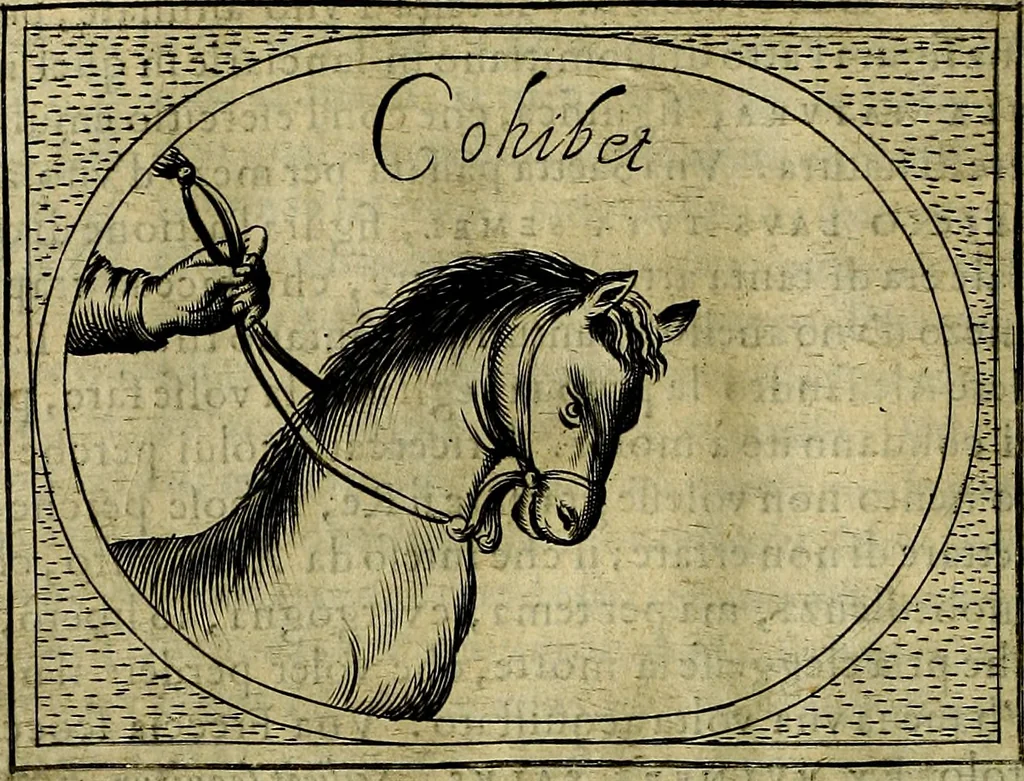 An illustration from Teatro d'imprese, 1623, leaf 851