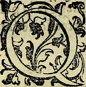 An illustration from Teatro d'imprese, 1623, leaf 851
