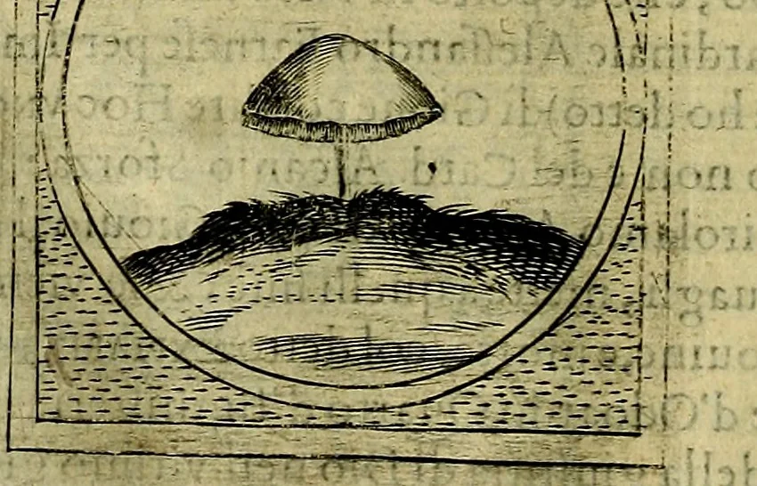 An illustration from Teatro d'imprese, 1623, leaf 855