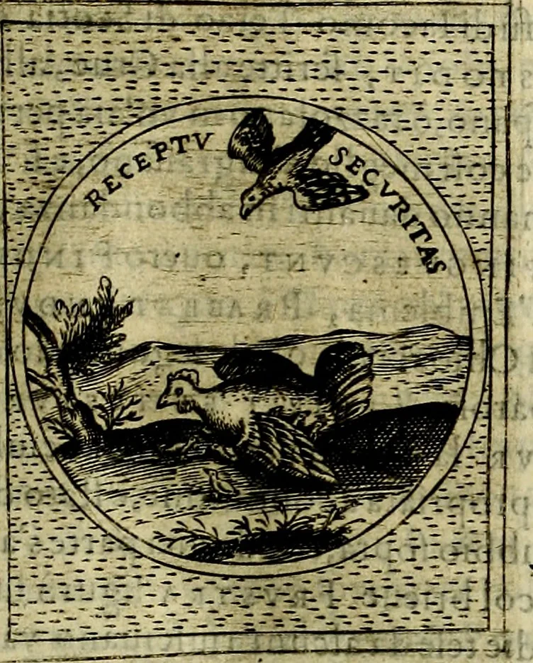 An illustration from Teatro d'imprese, 1623, leaf 866