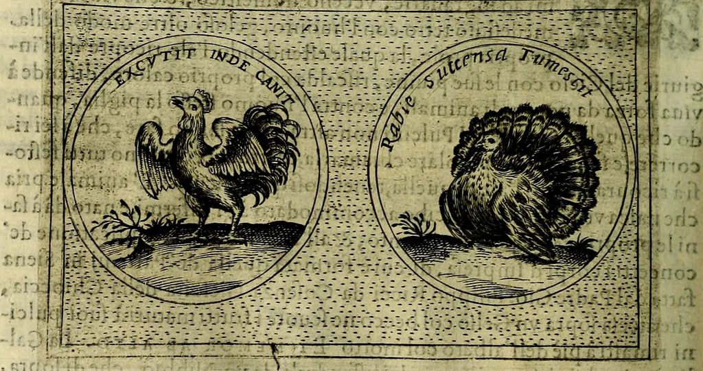 An illustration from Teatro d'imprese, 1623, leaf 867