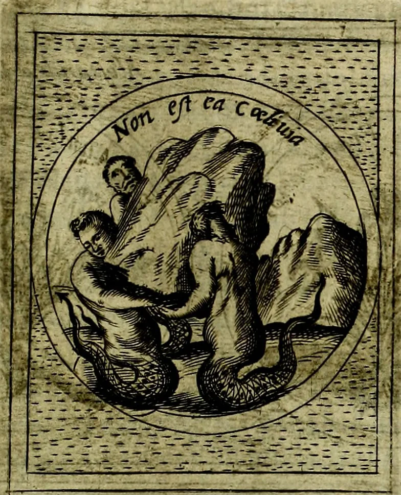 An illustration from Teatro d'imprese, 1623, leaf 876