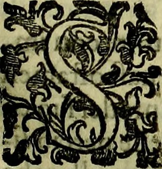 An illustration from Teatro d'imprese, 1623, leaf 876