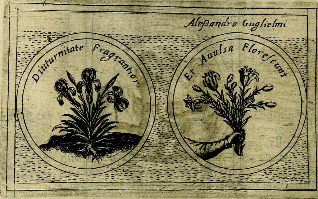 An illustration from Teatro d'imprese, 1623, leaf 877