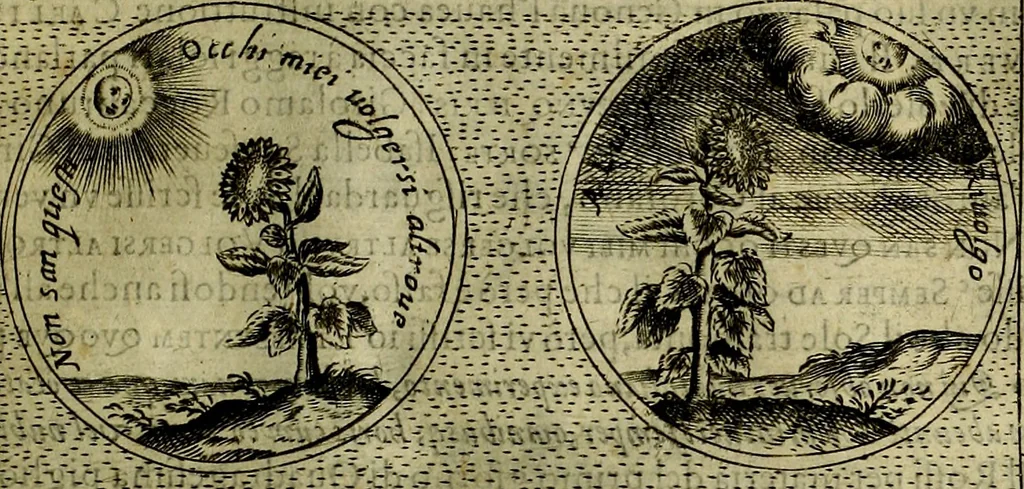 An illustration from Teatro d'imprese, 1623, leaf 880