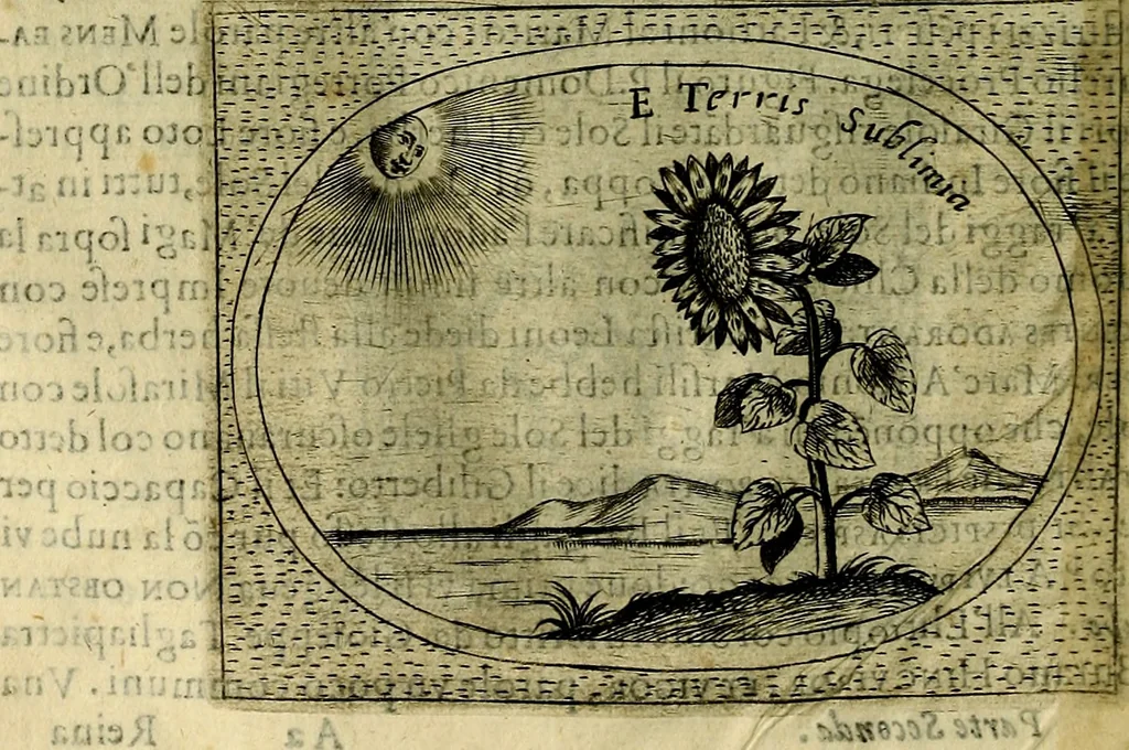 An illustration from Teatro d'imprese, 1623, leaf 881