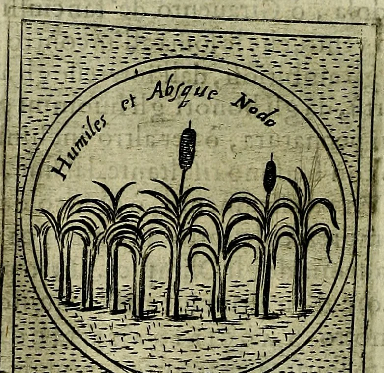 An illustration from Teatro d'imprese, 1623, leaf 883