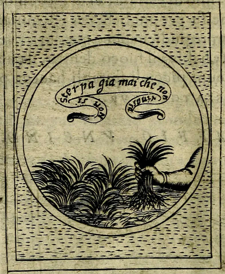 An illustration from Teatro d'imprese, 1623, leaf 891
