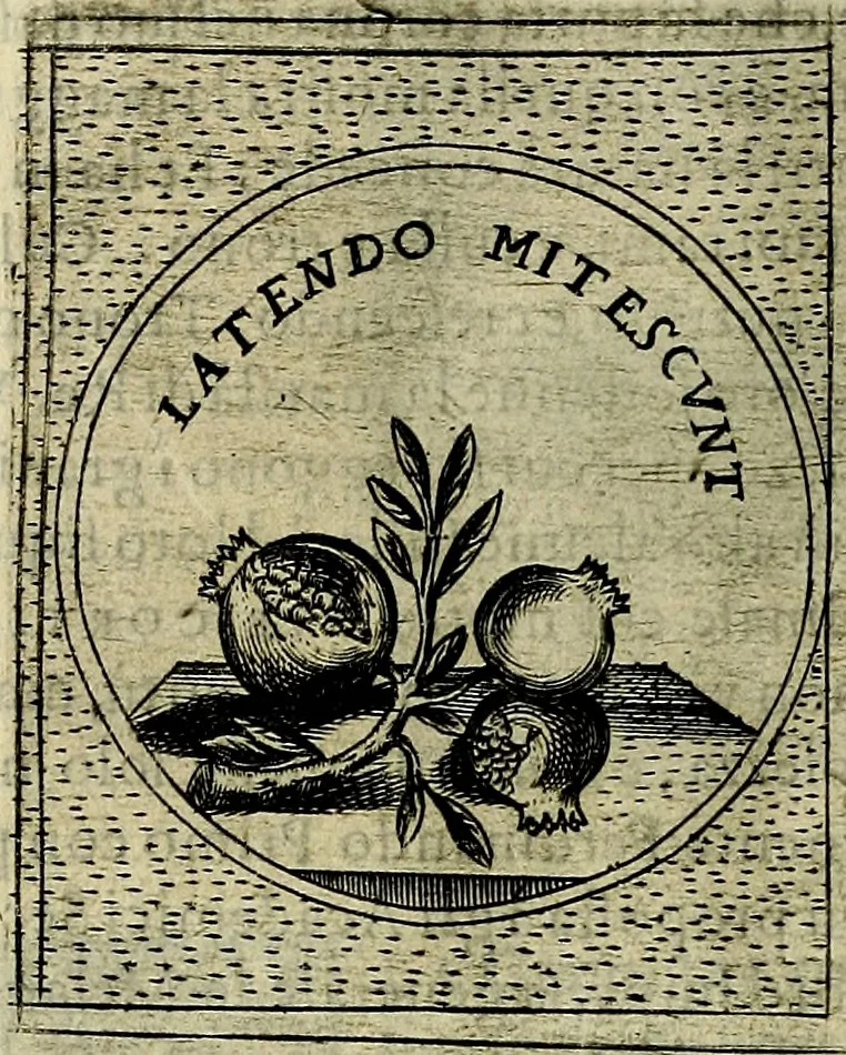 An illustration from Teatro d'imprese, 1623, leaf 893