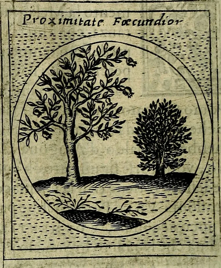 An illustration from Teatro d'imprese, 1623, leaf 893