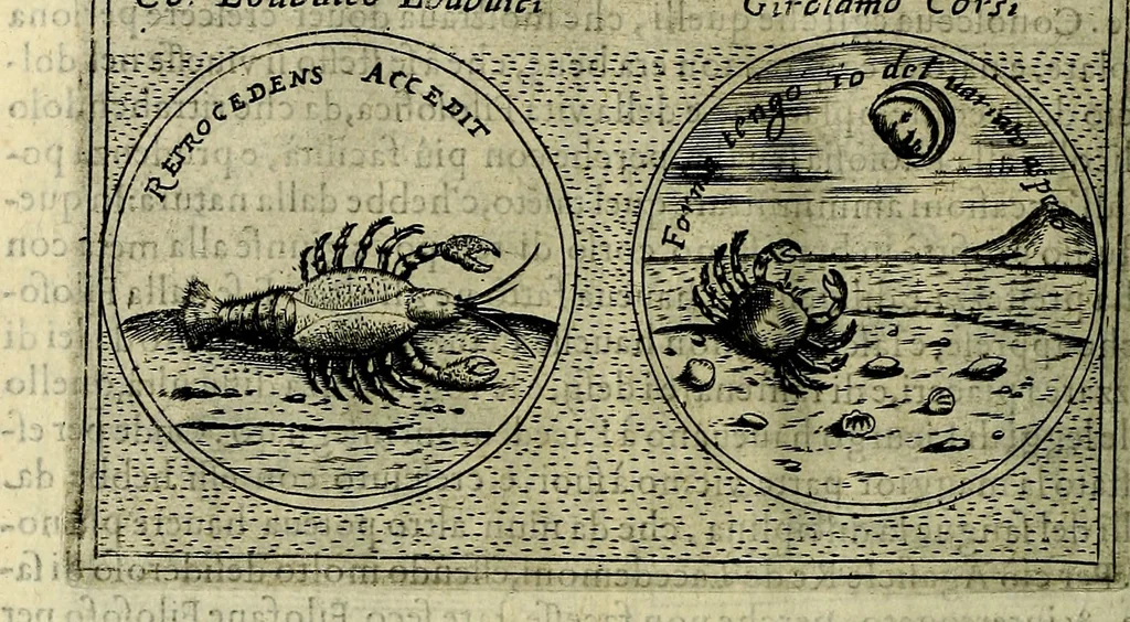 An illustration from Teatro d'imprese, 1623, leaf 895