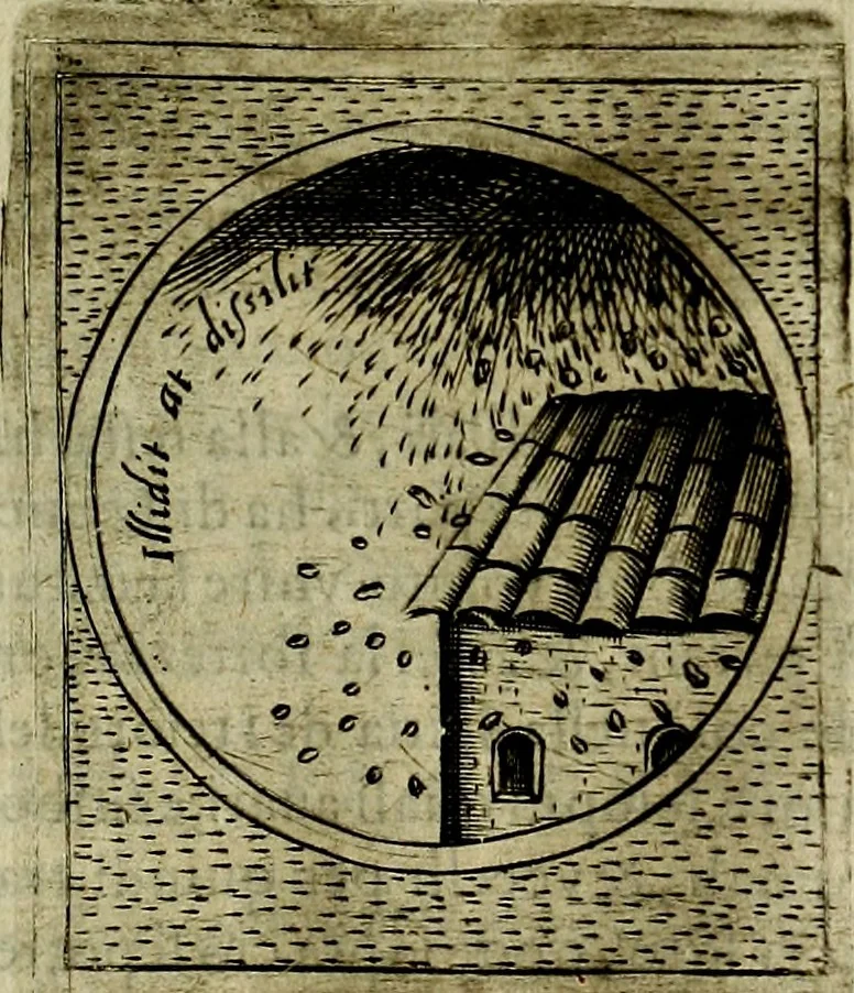 An illustration from Teatro d'imprese, 1623, leaf 896