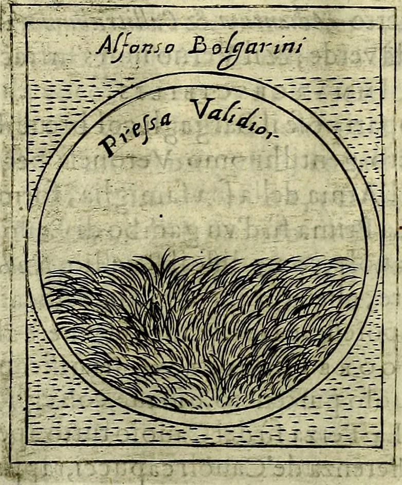 An illustration from Teatro d'imprese, 1623, leaf 905