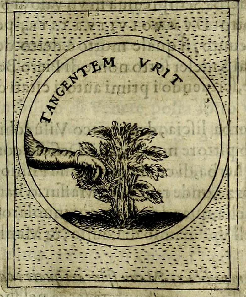 An illustration from Teatro d'imprese, 1623, leaf 906