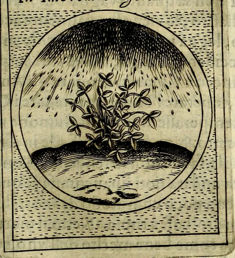 An illustration from Teatro d'imprese, 1623, leaf 908