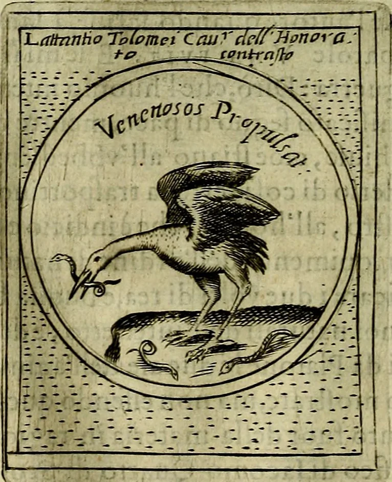 An illustration from Teatro d'imprese, 1623, leaf 919