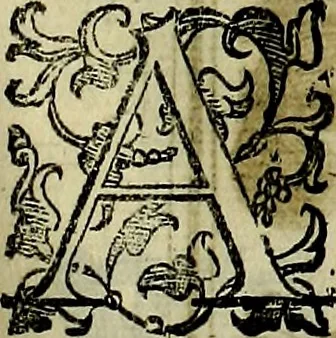 An illustration from Teatro d'imprese, 1623, leaf 920