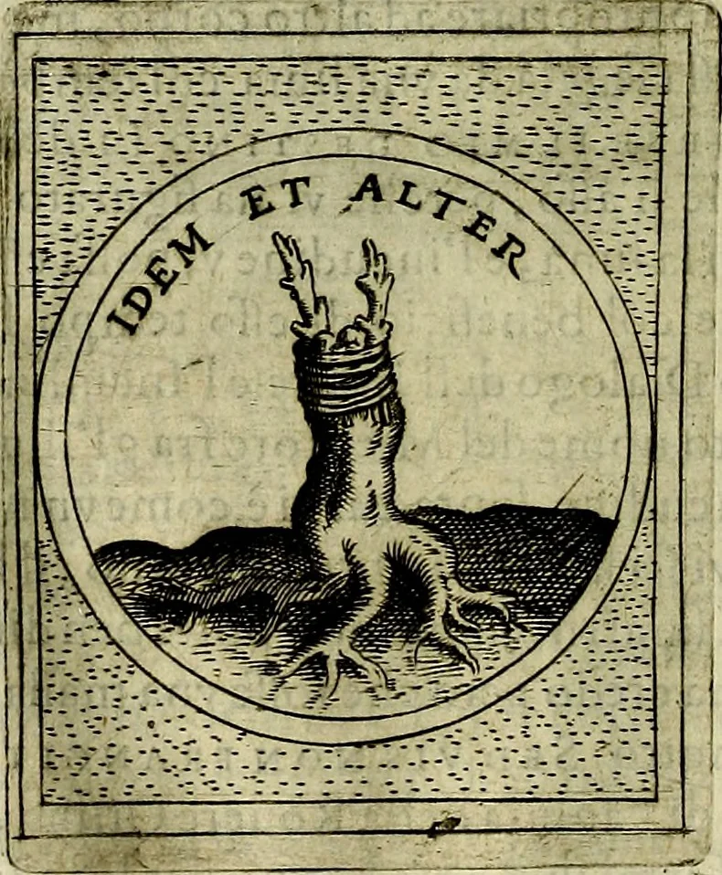 An illustration from Teatro d'imprese, 1623, leaf 925