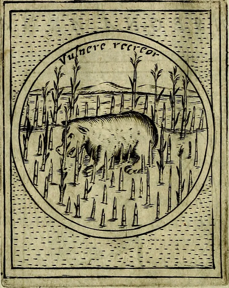 An illustration from Teatro d'imprese, 1623, leaf 927