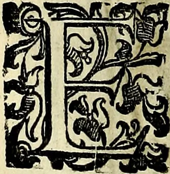An illustration from Teatro d'imprese, 1623, leaf 953