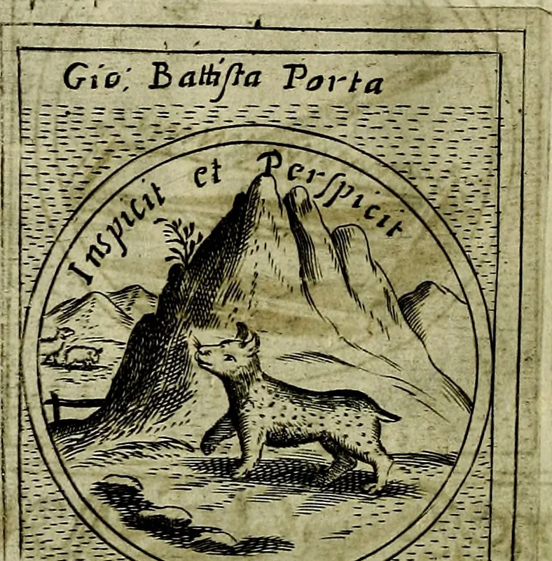 An illustration from Teatro d'imprese, 1623, leaf 959