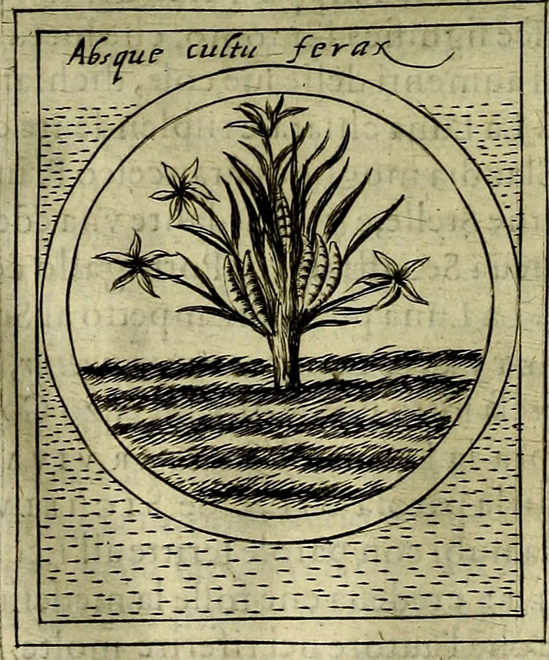 An illustration from Teatro d'imprese, 1623, leaf 975