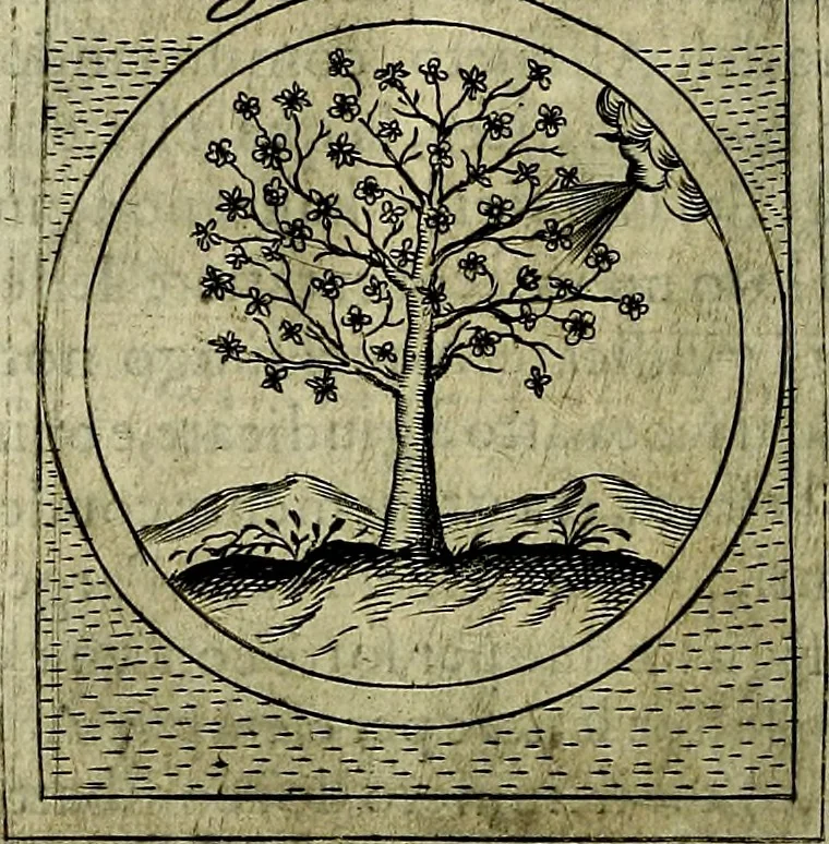 An illustration from Teatro d'imprese, 1623, leaf 979
